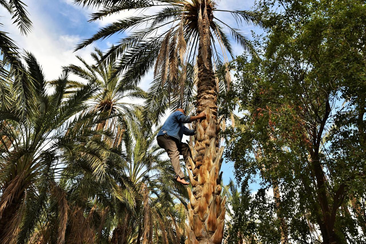 Vila Dar Ezzahra Tozeur Exteriér fotografie